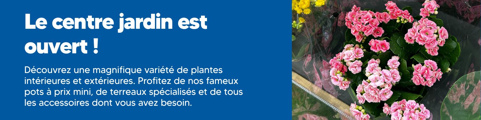 le-centre-jardin-est-ouvert-plante-interieur-exterieur